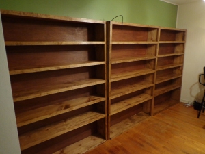 Finished Shelves